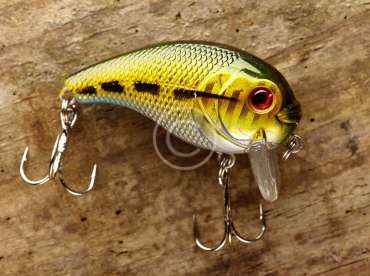 How to Save Big on Baggage Fees on Your Next Fishing Trip